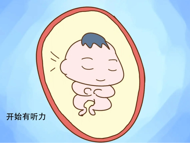 别让孩子输在起跑线_宝宝_胎儿_进行