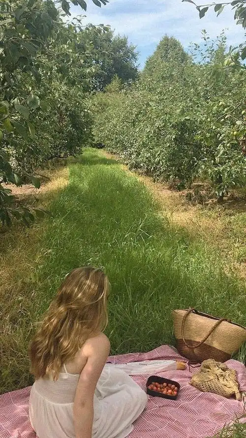 「壁纸」ins风绿色系