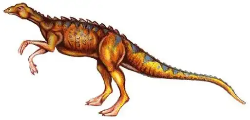 小盾龙(scutellosaurus)