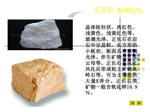 无忧文档 所有分类 农林牧渔 林学 植物生长的土壤环境ppt 正长石