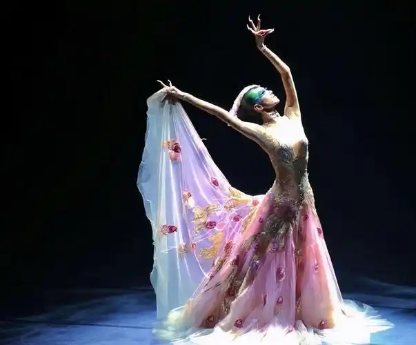 杨丽萍个人简介 杨丽萍的人生经历是什么