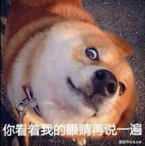 2020年最新小笑话,14个搞笑的家庭笑话,笑掉大牙