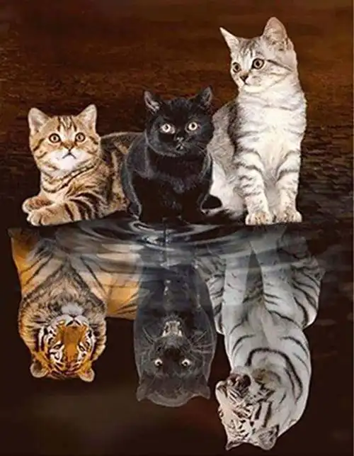 三只小猫水面倒影老虎黑豹钻石画