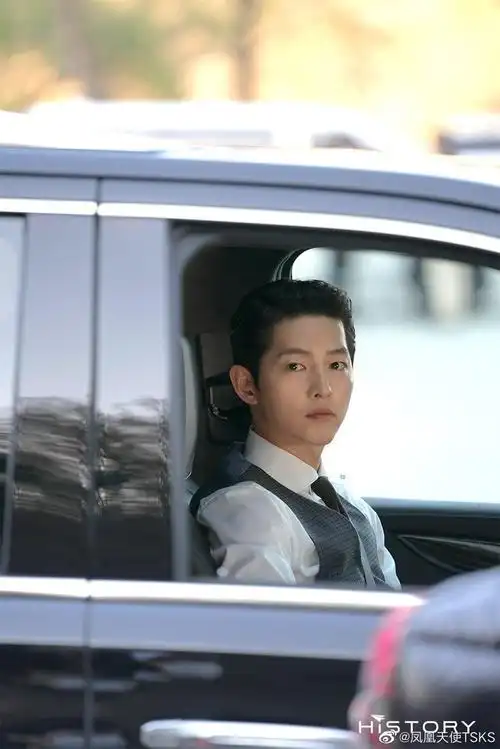 黑道律师文森佐多图警告