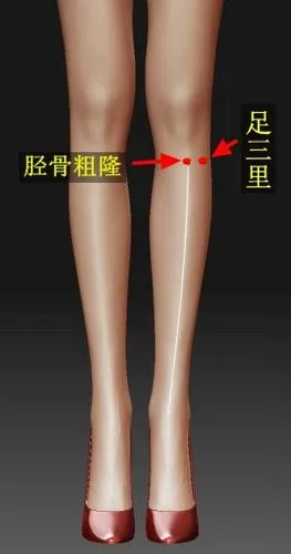 王大夫谈穴位之"足三里穴":比吃老母鸡还补,一般人我不告