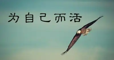 人生感悟的句子经典经典句子励志