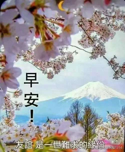 心情快乐的句子图片天天好心情的图片