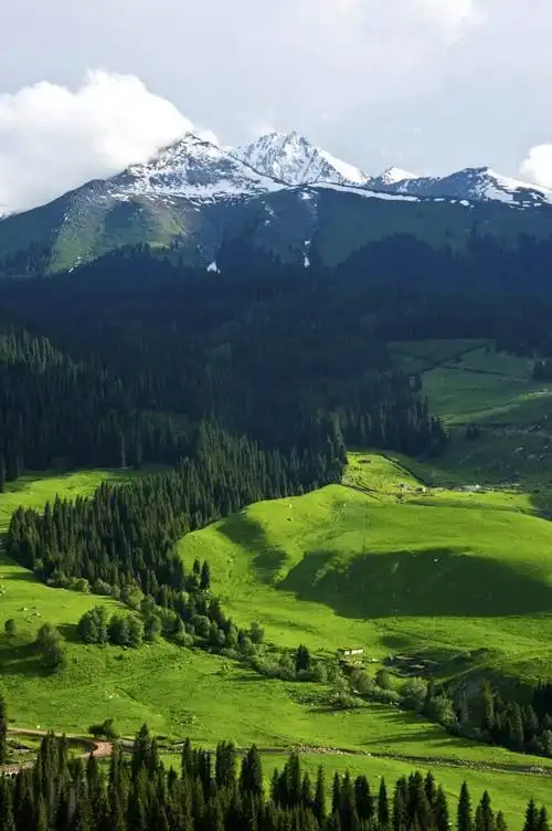 这里的草原优美,细腻,秀气,雪山与草原交相辉映,景色美伦美奂.