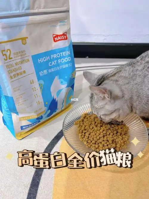 猫粮真实测评 | 奶思猫粮5.0来啦