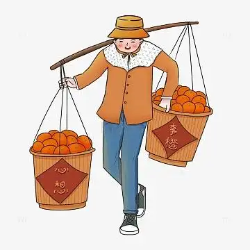 秋收秋季橙子农民挑担子赣南脐橙摘果子果农