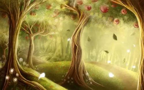 绿色森林唯美风景壁纸_绿意的世界