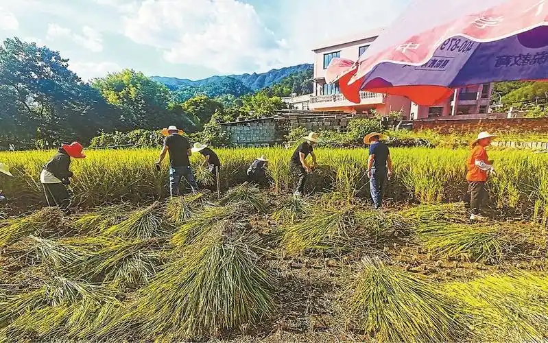 厦门:聚力提升 书写基层党建"大文章"