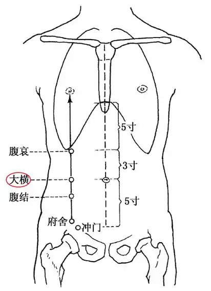 5.点揉"大横穴""天枢穴".