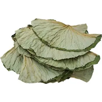 一耕一耘整张干荷叶片300g做荷叶鸡荷叶饭白洋淀特产