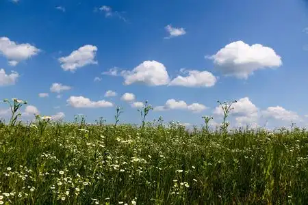 平流层顶在晴朗的天气里,一个夏天,白云顶着蓝天照片