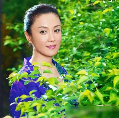 她曾是"最美苏妲己",婚姻 经商失败后误入歧途,今56岁饱经沧桑|傅艺伟