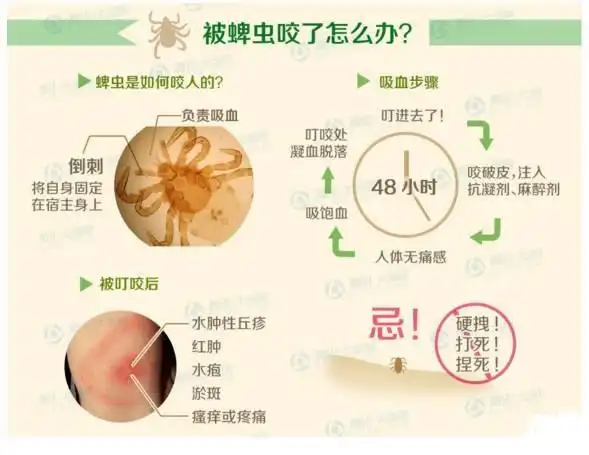 5岁娃后脑勺痛家长拨开头发一看魂都吓掉了
