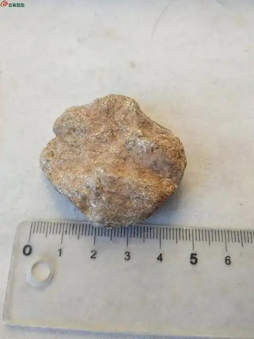 金沙石一块,含金