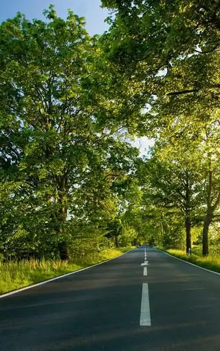 清新雅致的风景手机壁纸图片-高清背景图-zol手机壁纸