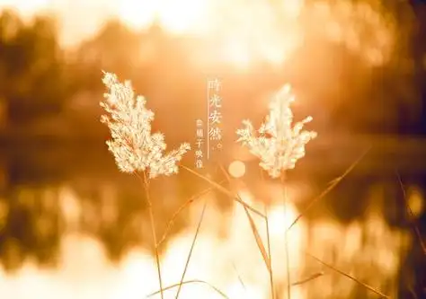 但愿岁月静好下一句