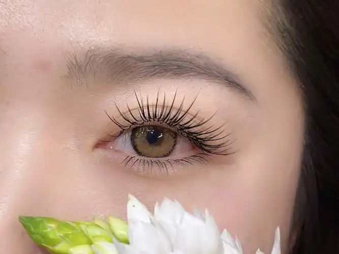 无水印美睫图片分享