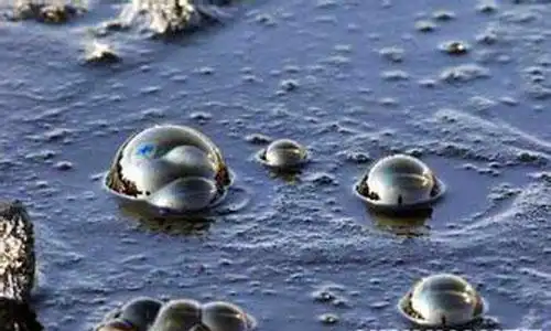 石油是如何形成的?