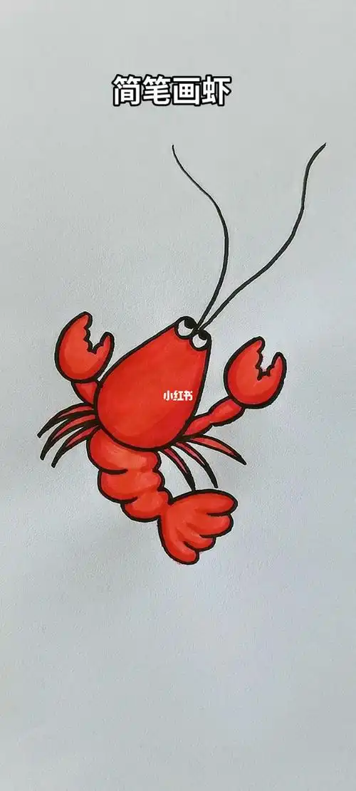 简笔画虾简笔画简笔画教程