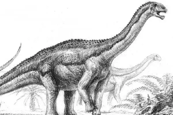 大型蜥脚类恐龙伊森龙股骨就有65厘米长是人的2倍