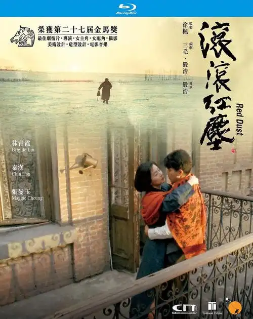 滚滚红尘 的海报