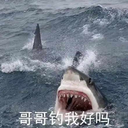 聊天表情-搞笑图片表情包-表情包网站