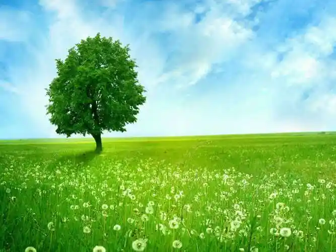 蓝天白云草原绿树ppt图片-风景背景-道格资源