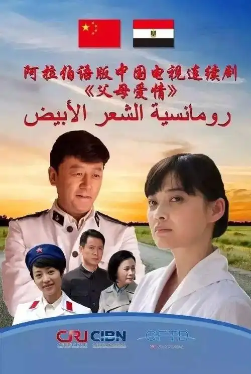 《父母爱情》阿拉伯语版海报