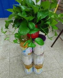 奶粉罐自制或改造花架子