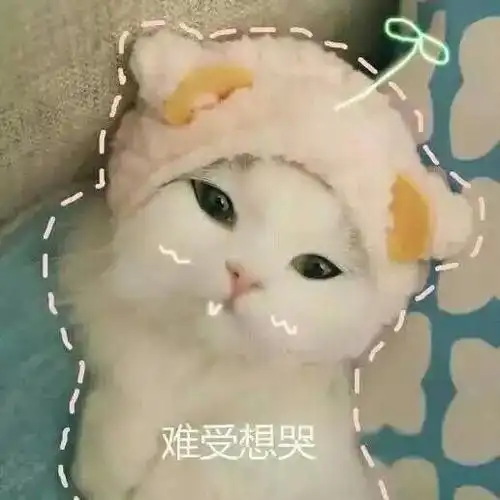 难受想哭 - 一组萌翻了的猫咪表情包