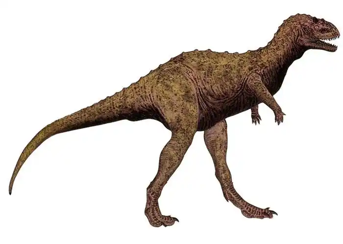 食肉牛龙图片及食肉牛龙种类