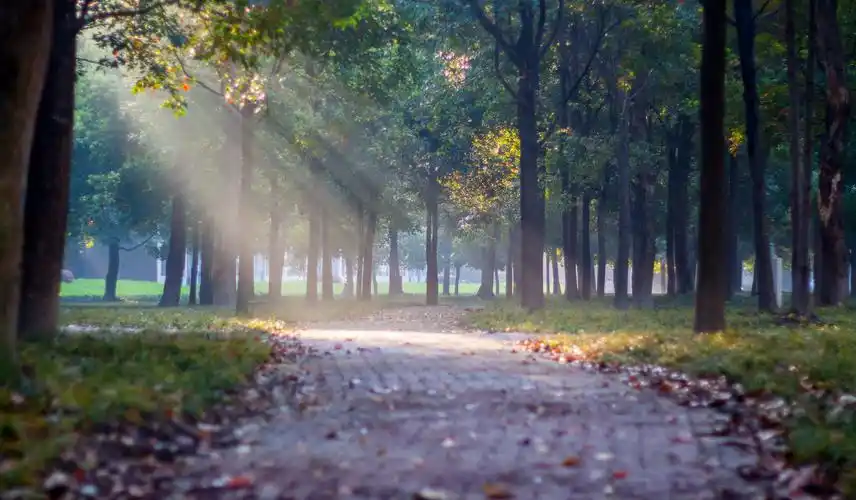 《清晨的一米阳光》