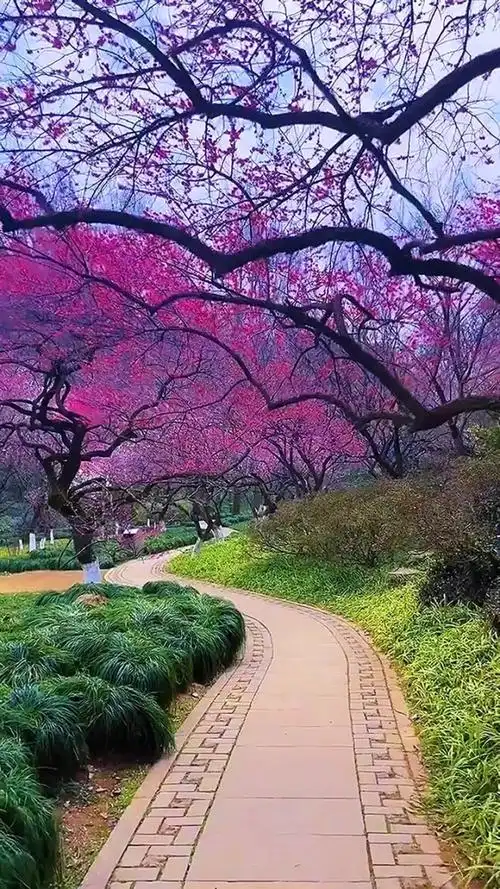 人生最曼妙的风景,是内心的淡定和从容.