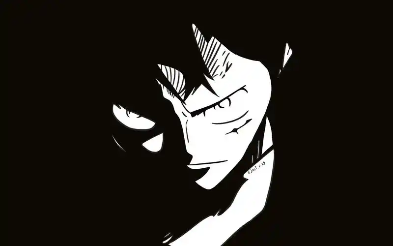 【咸】海贼王/路飞/黑白路飞壁纸