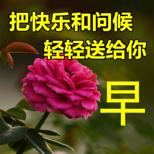 6月25日最漂亮早上好动态表情图片大全早安动图美图大全