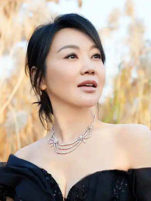 闫妮黑色薄纱礼服