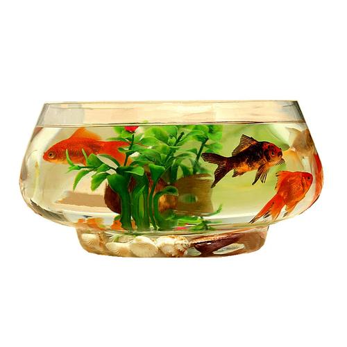 大号透明玻璃鱼缸圆形创意金鱼缸水培客厅家用加厚乌龟缸办公室缸