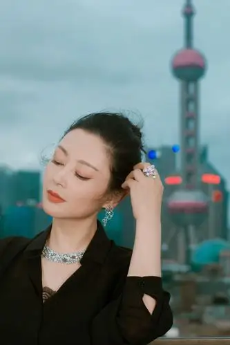 陈红出席博纳之夜活动时拍摄的一组照片什么水平zt