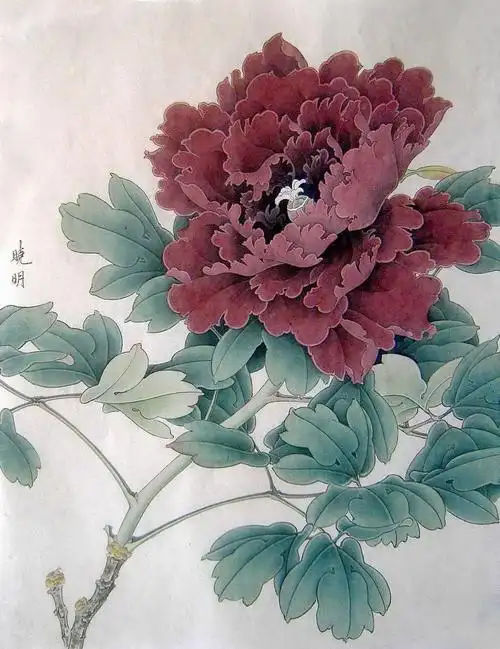 李晓明的工笔画工笔画教程系列之2工笔牡丹的画法