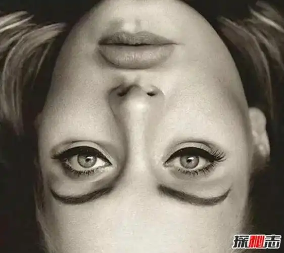 倒过来看吓死人的图(这些照片千万不要倒过来看)