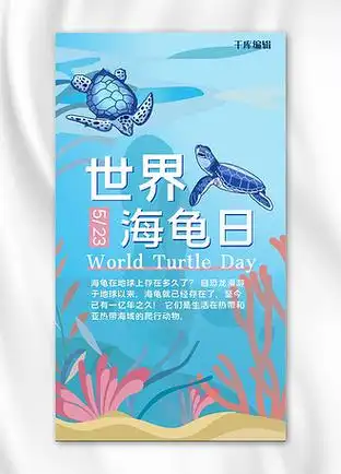 世界海龟日海龟海洋蓝色手绘手机海报