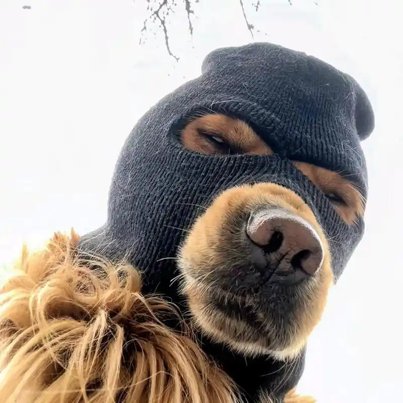 96面罩狗头头像