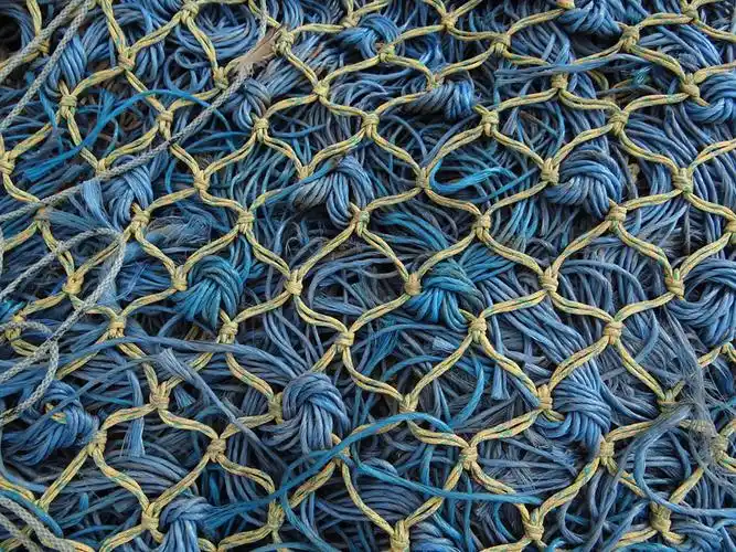 渔网图片