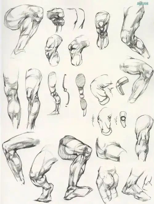 画03侧面骨骼与肌肉的理解02正面骨骼与肌肉的理解01膝关节是腿部产生