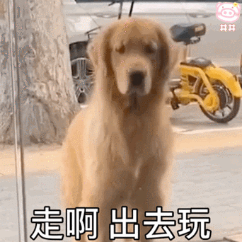 走啊出去玩(狗勾表情包)_出去玩表情