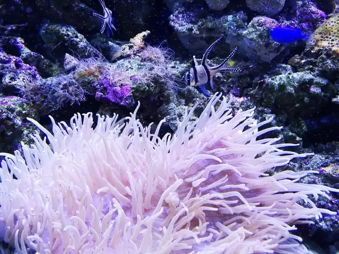 东京极地海洋馆